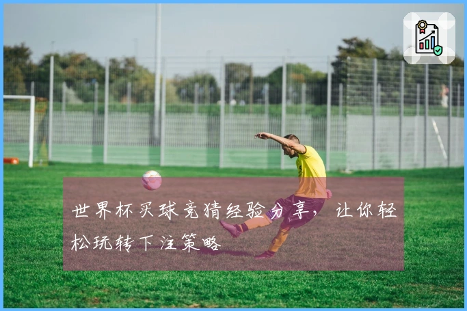 世界杯买球竞猜经验分享，让你轻松玩转下注策略